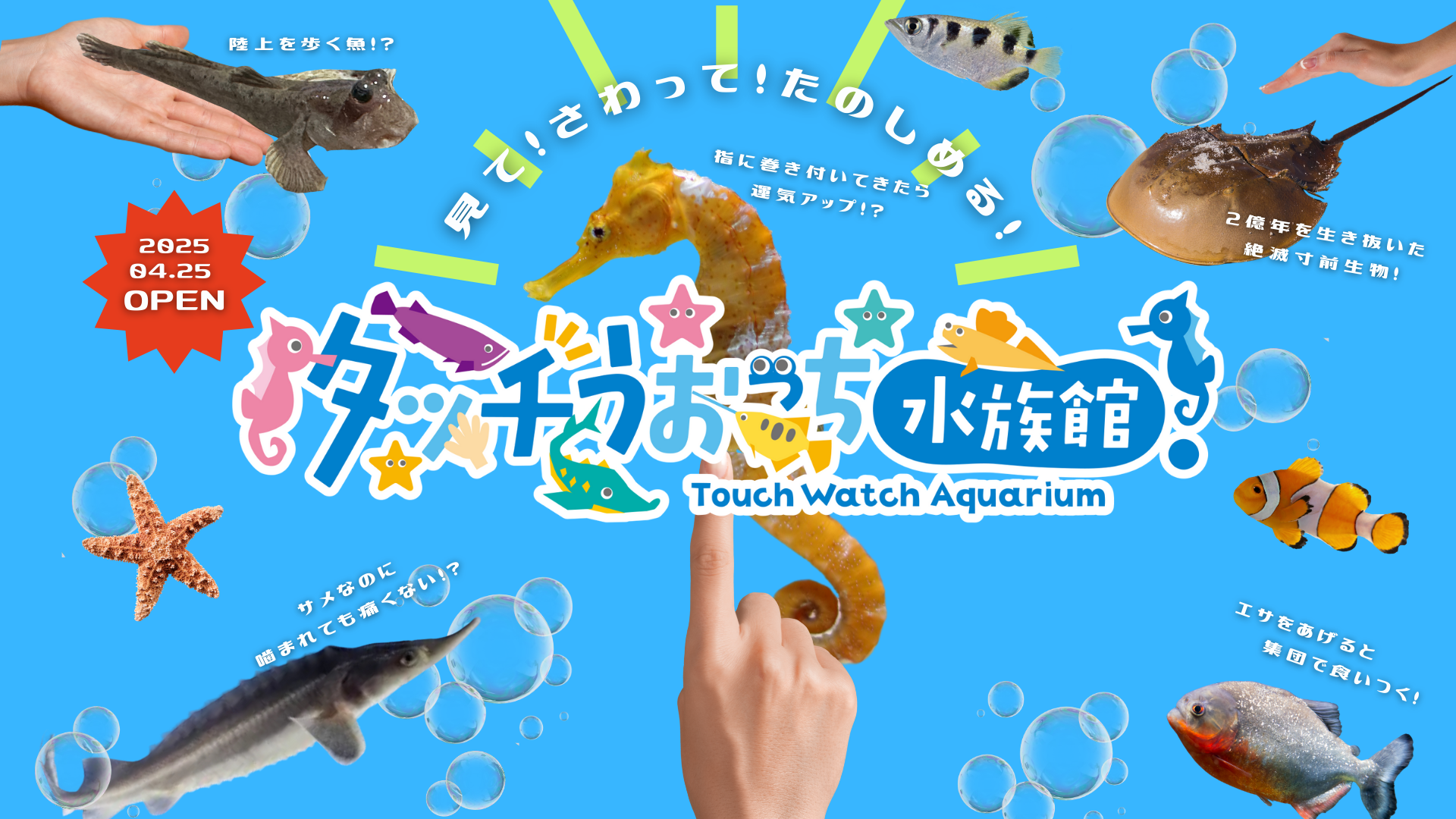 49d1cab1-75db-4801-b659-