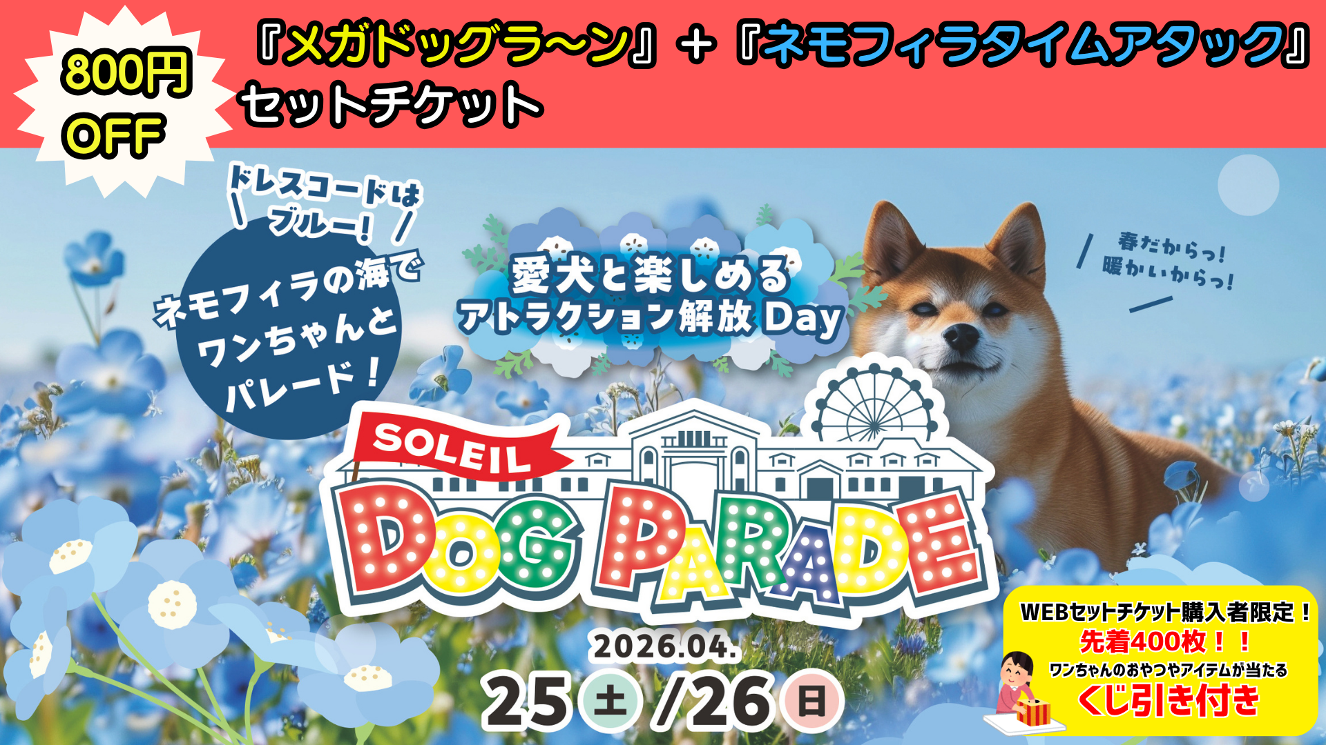 回数券【最大3,200円OFF+特典付きセットも!】 | 長井海の手 回数券【最大3,200円OFF+特典付きセットも!】 | 長井海の手