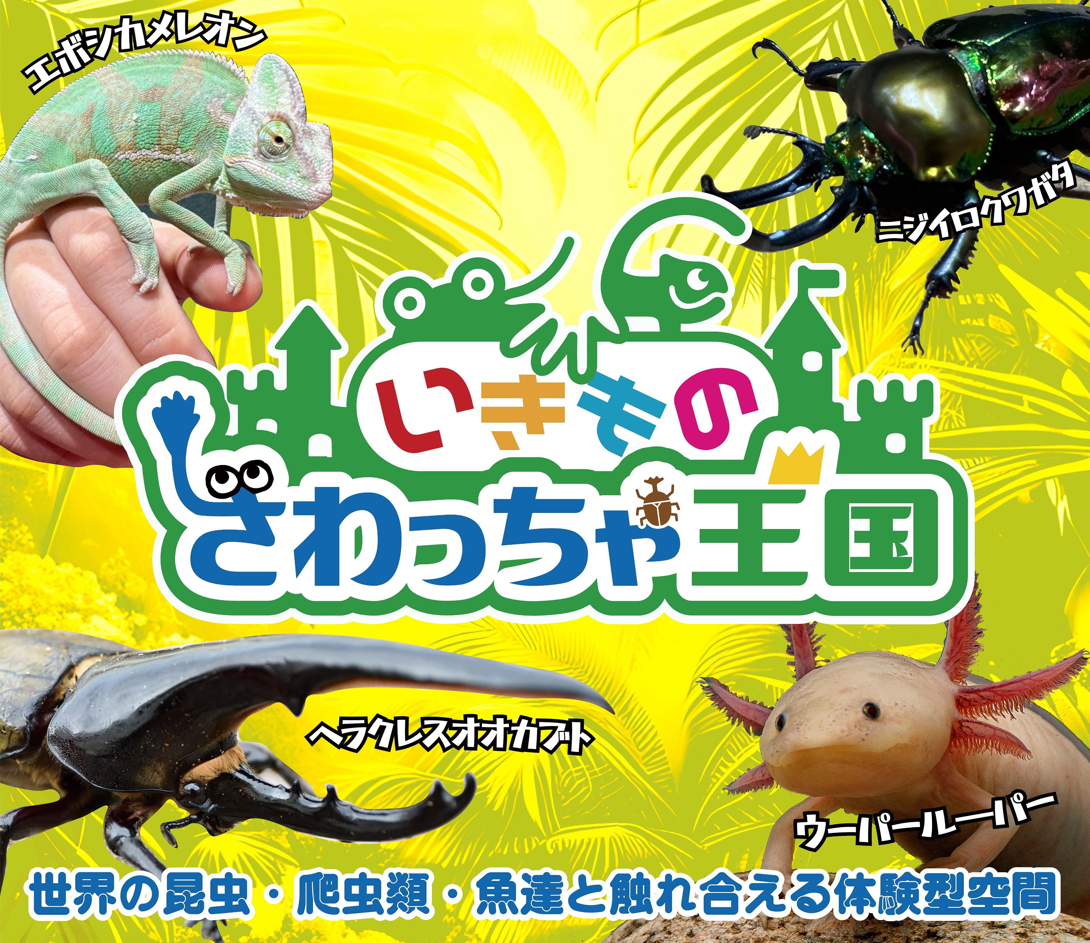 83a243f3-69cb-45bd-960e-