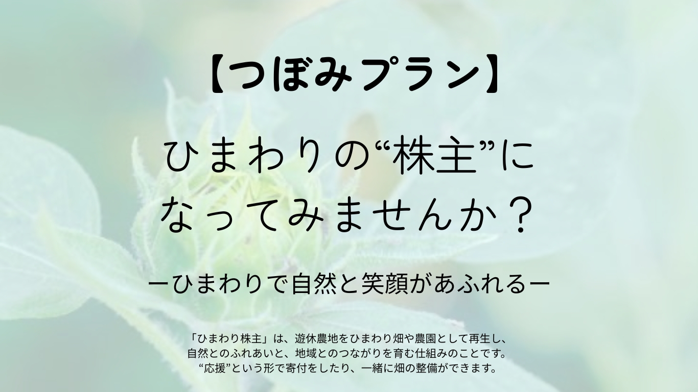 ひまわりプロジェクト2026　『つぼみ』プラン