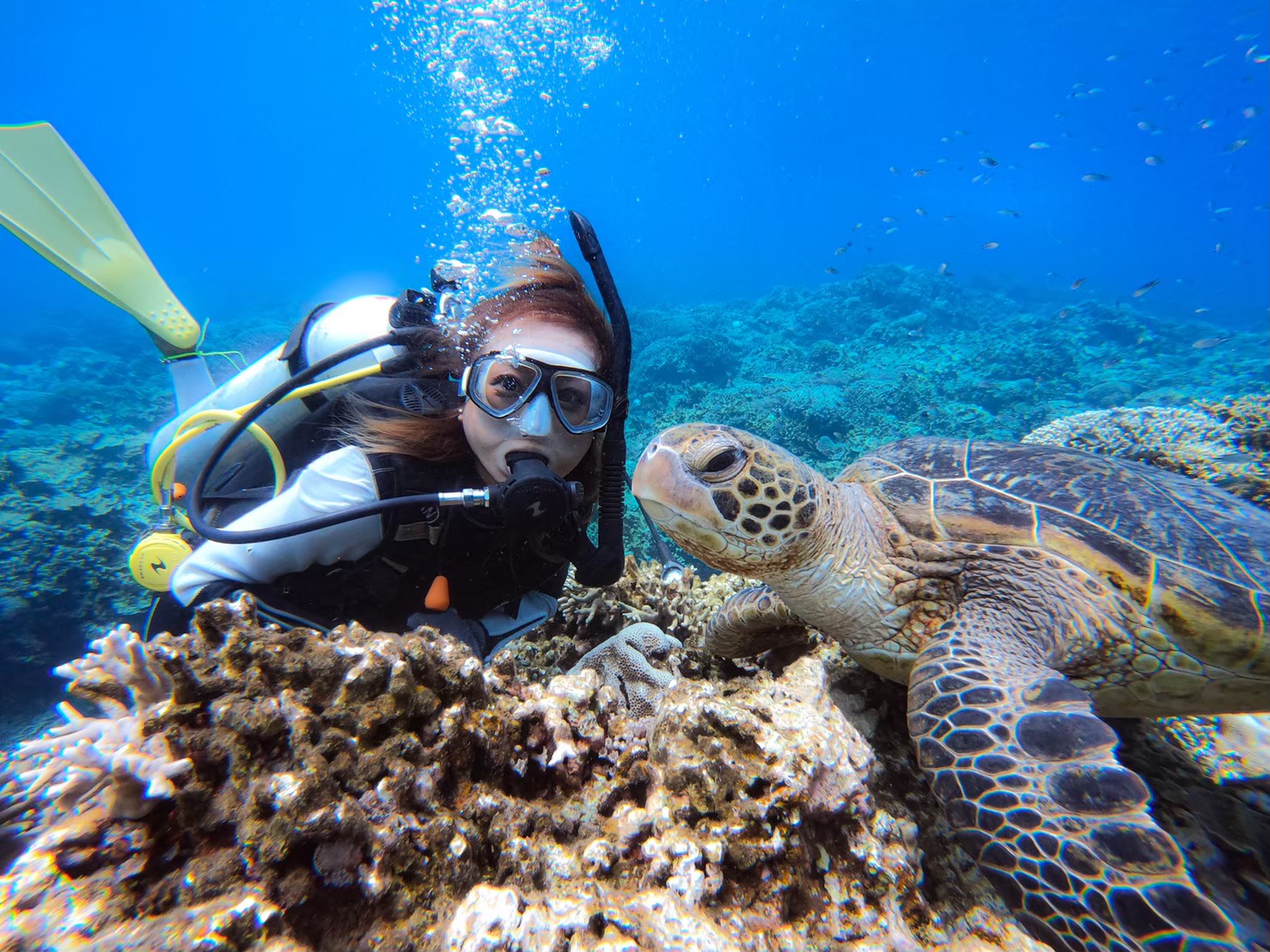 Kerama Islands Full-day Introductory Diving from Naha