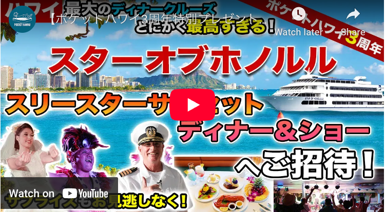 Community】 Evening Star ディナーセット 34本 Community】 Evening