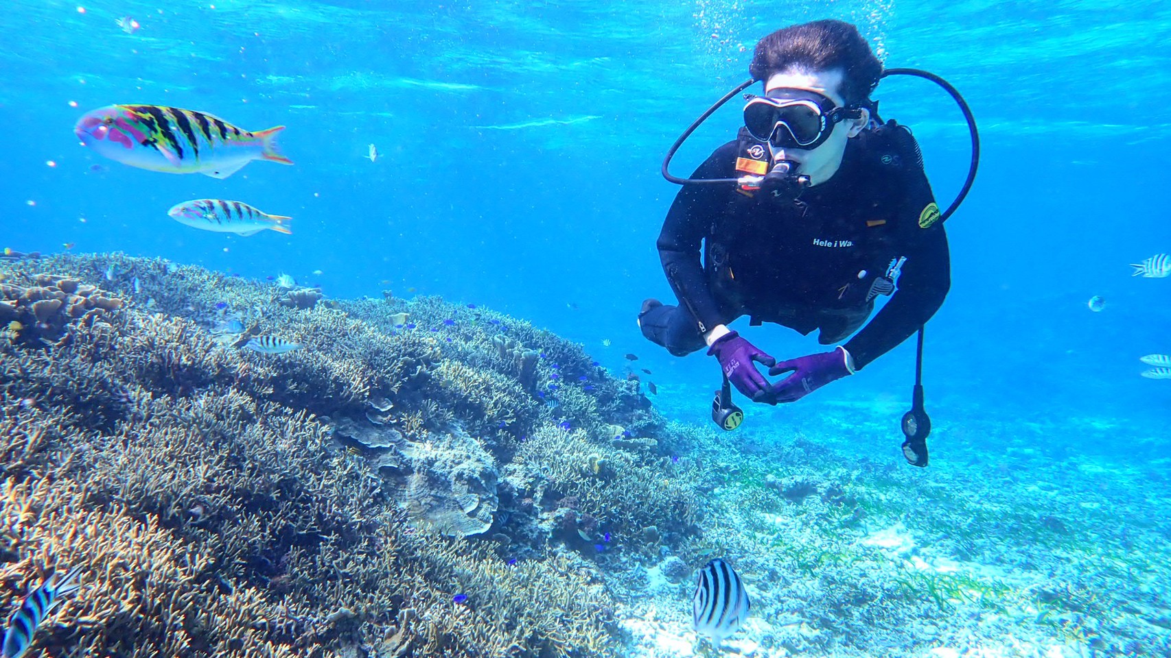 【 Advance payment】Blue Cave Tour Fun Diving