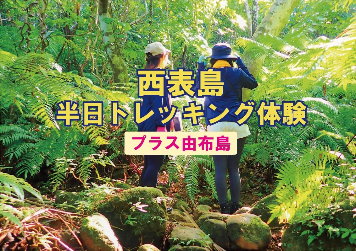 西表島半日トレッキング体験と由布島観光（石垣港09:00発 / 昼食付 / 由布島水牛車）
