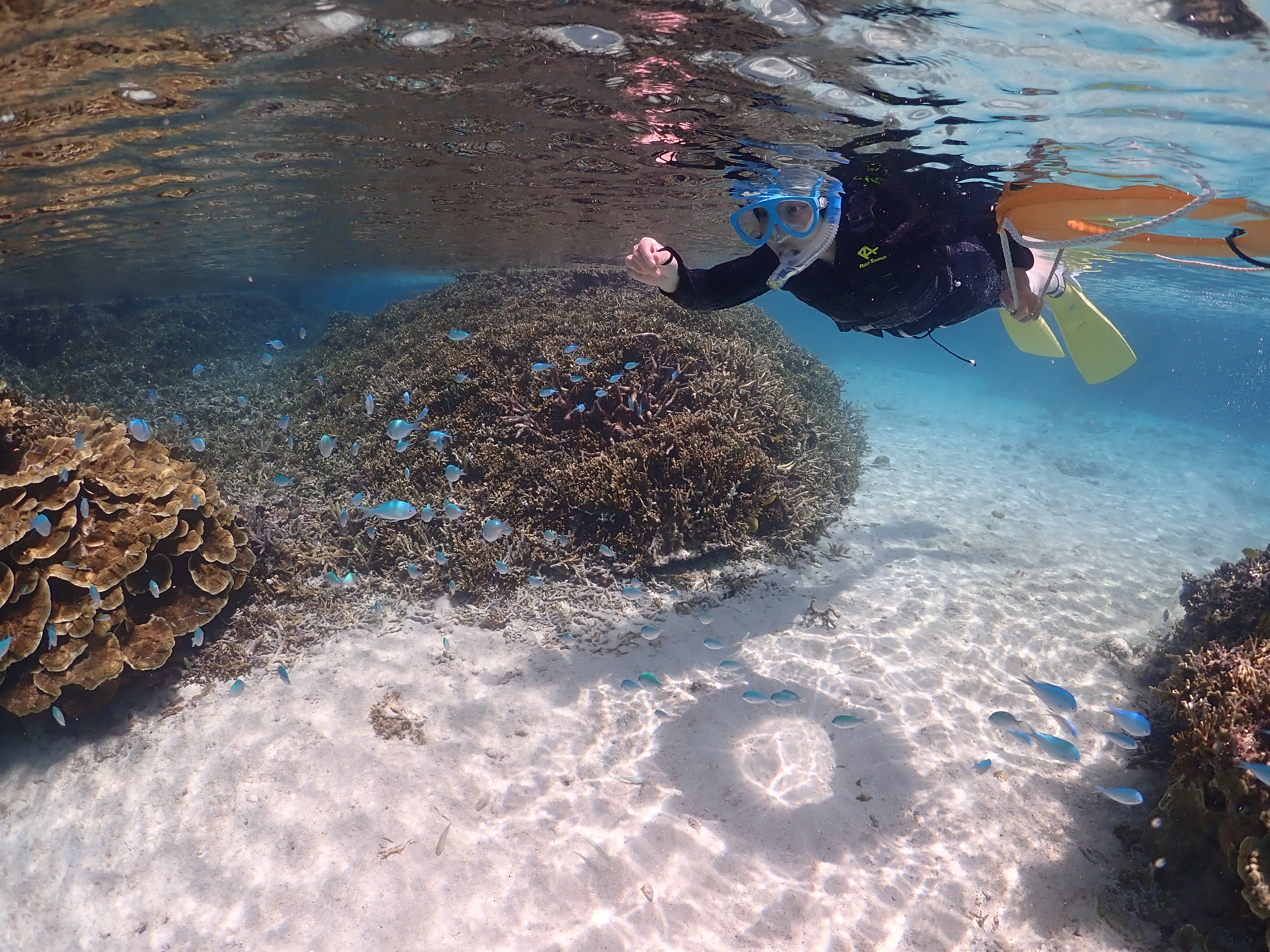 1組貸切】ビーチシュノーケリングツアー /写真・動画データプレゼント