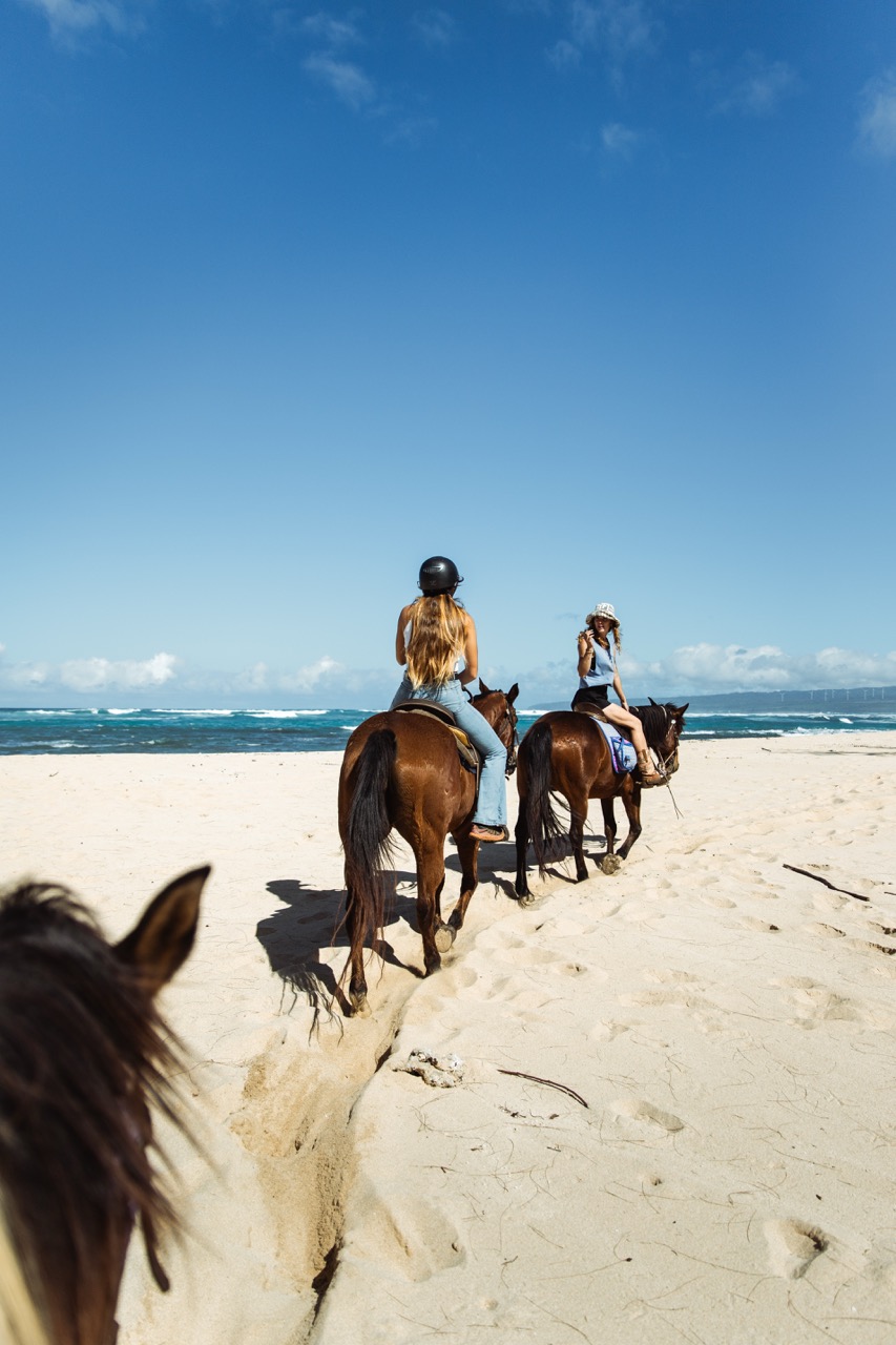 馬のいる景色 d479b417-ad84-4ea4-b889-