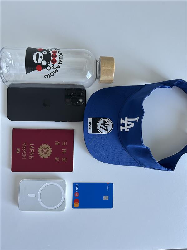 行かなきゃゲット不可能！スタジアムでのみ配布されるボブルヘッド