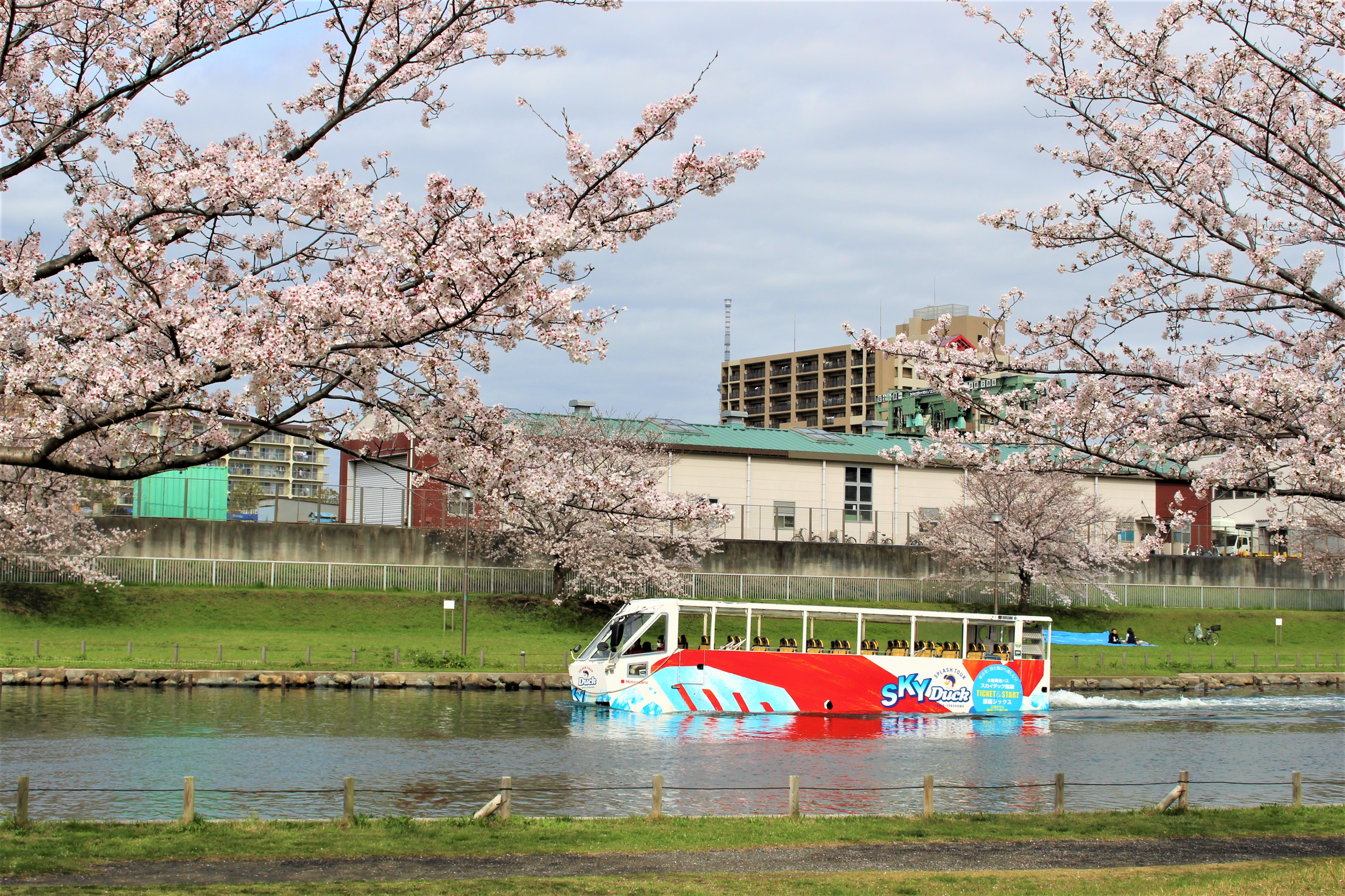 D801】スカイダック横浜 みなとハイカラコース | 日本初二階建て