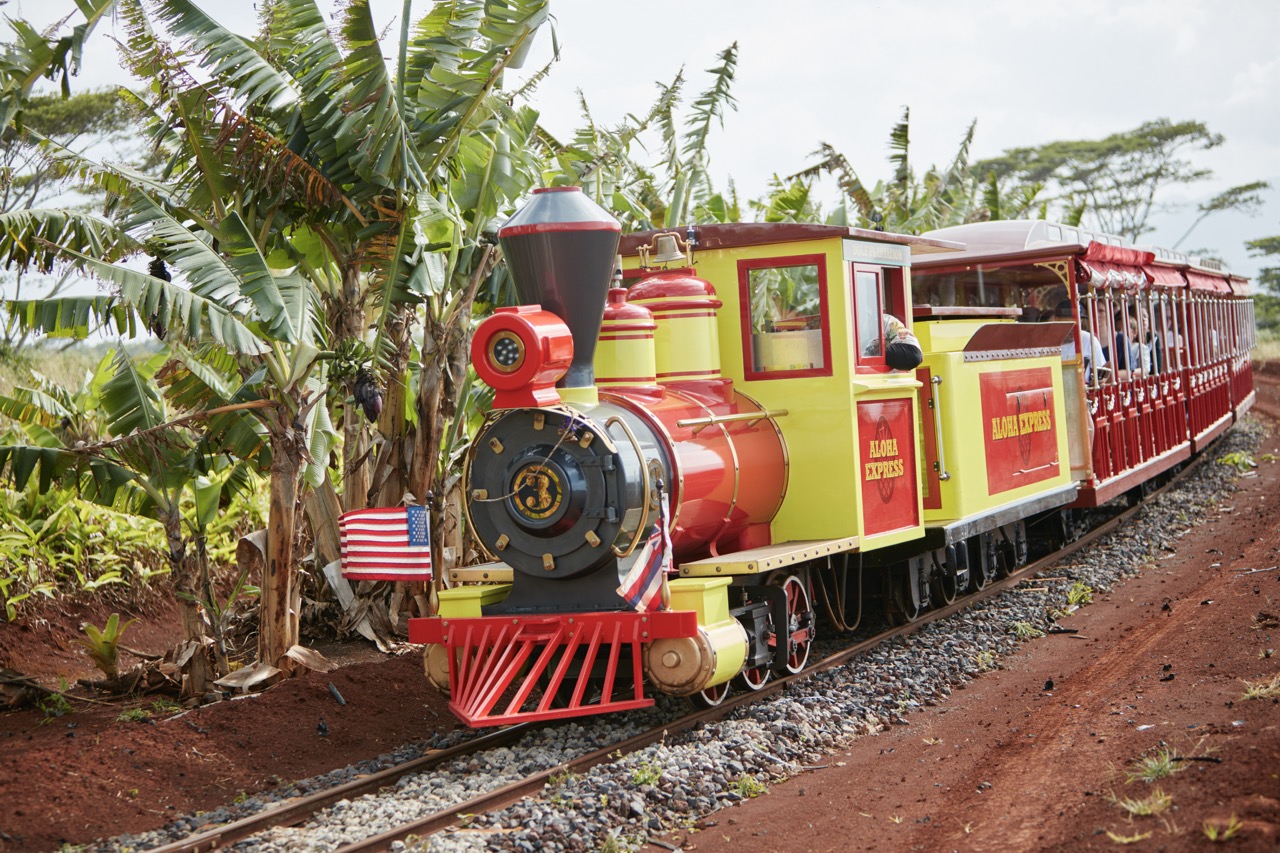 パイナップル・エクスプレス列車（一般入場）1回乗車券 | Ride the
