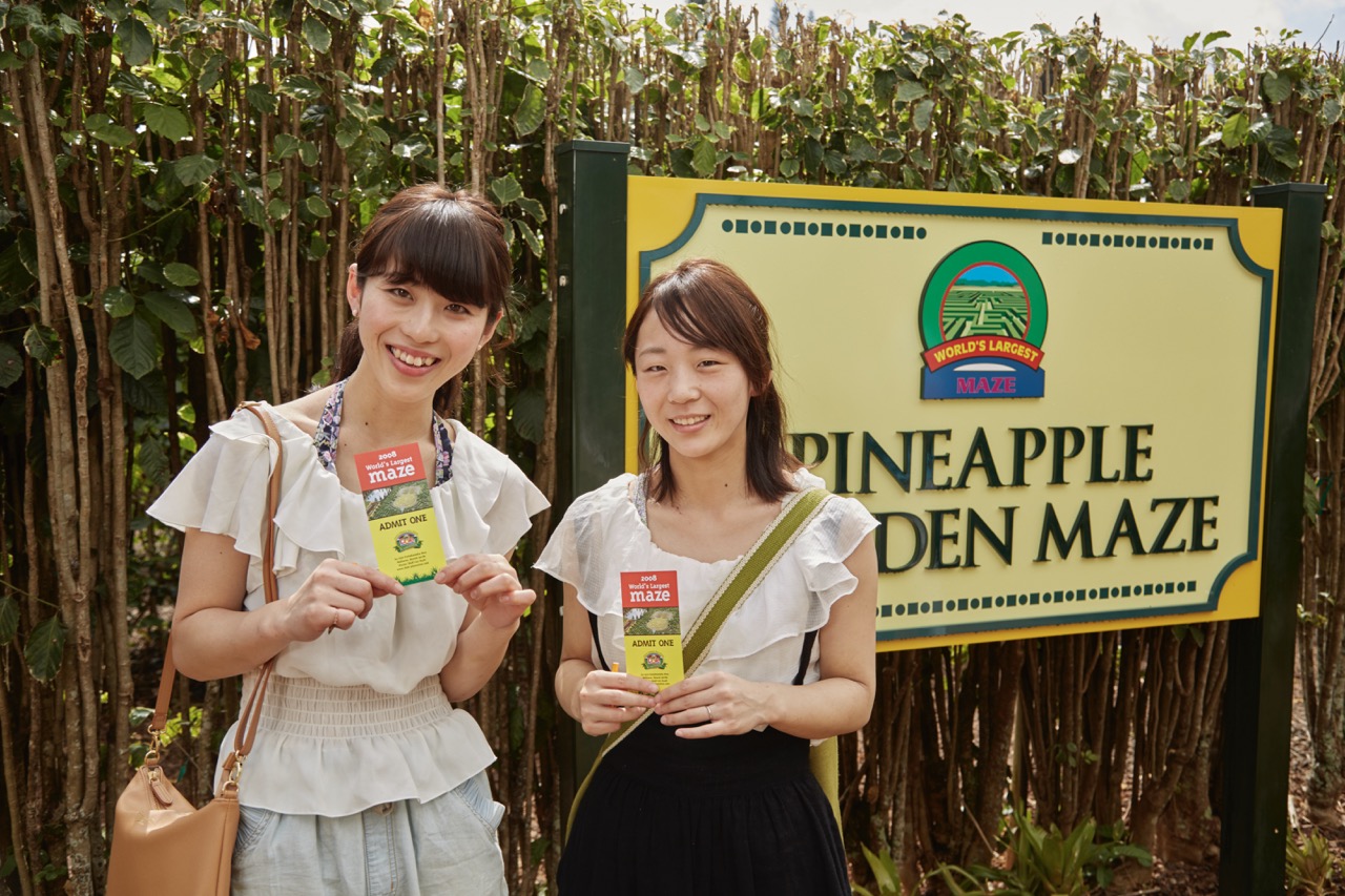 パイナップル・ガーデン巨大迷路の入場チケット（1回券） | Ride the
