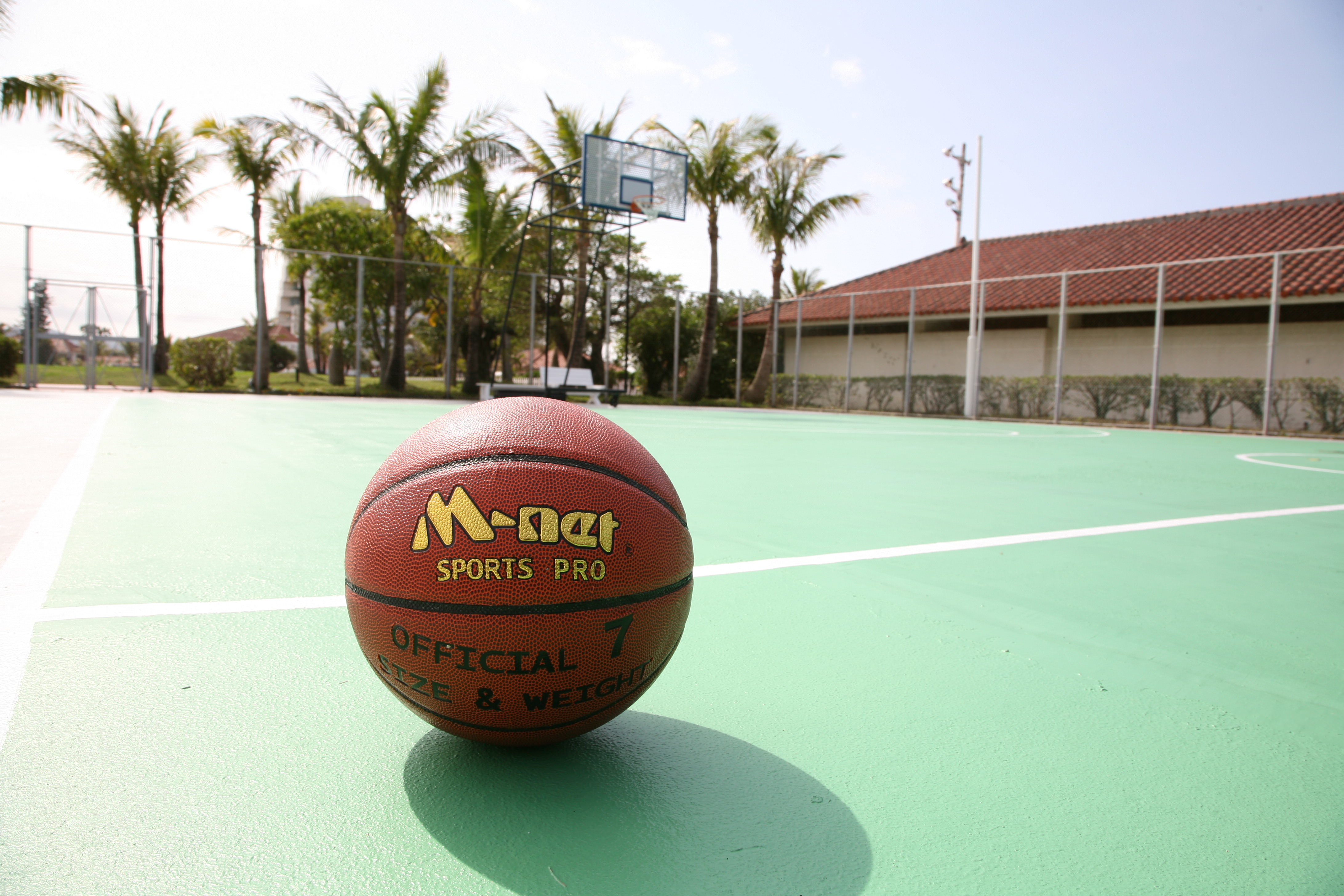 バスケットボール