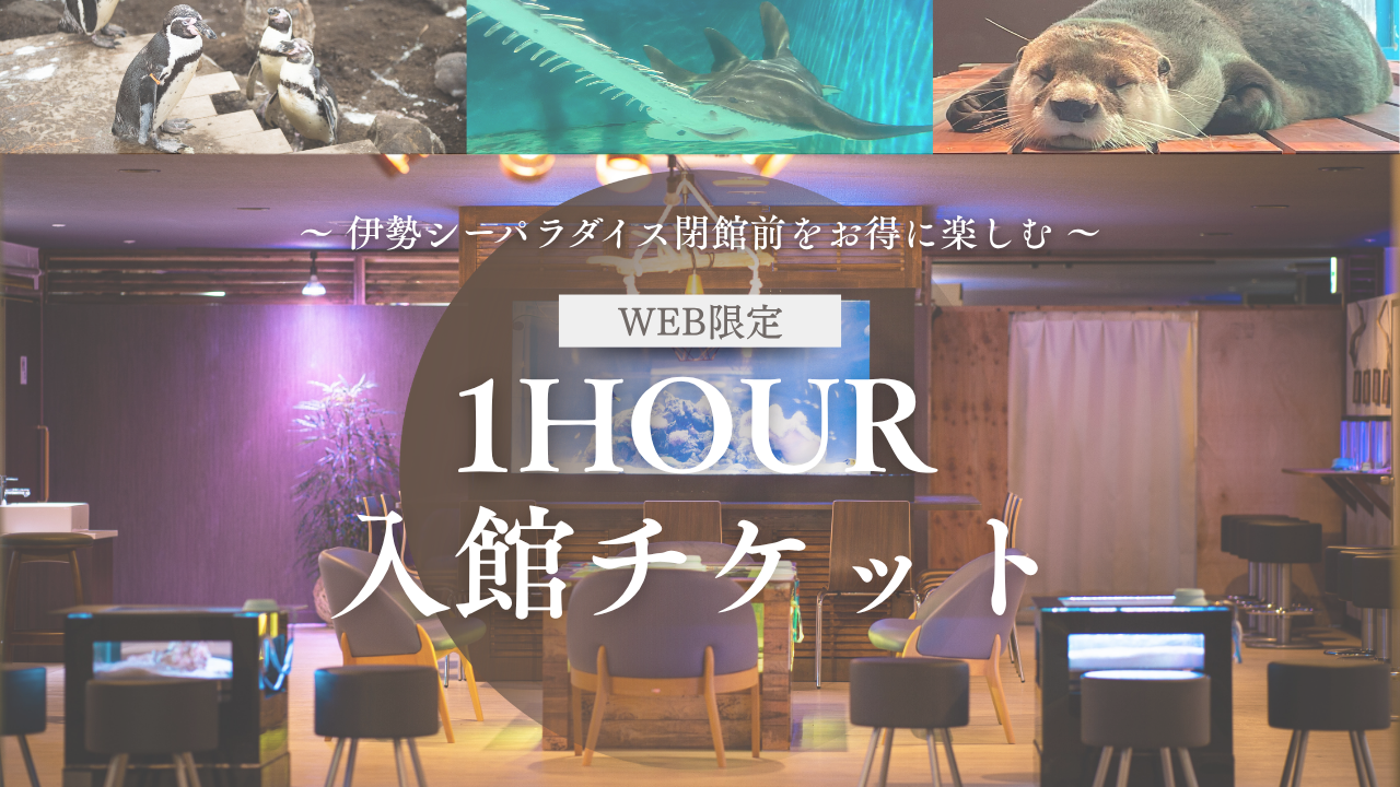 【閉館1時間前から入館】＜WEB限定＞伊勢シーパラダイス 1HOUR入館チケット　※キャンセル・日程変更不可 