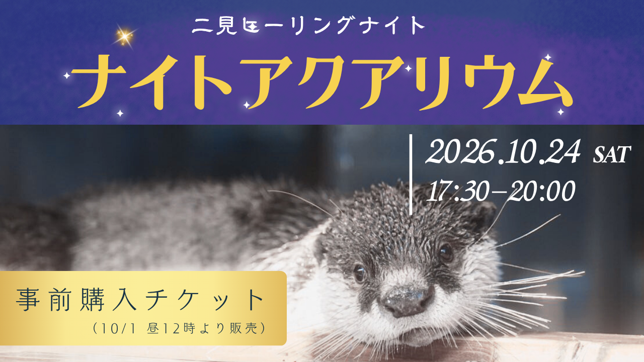 <1000名限定!>【二見ヒーリングナイト】ナイトアクアリウム 入場プラン(事前購入) ※キャンセル不可