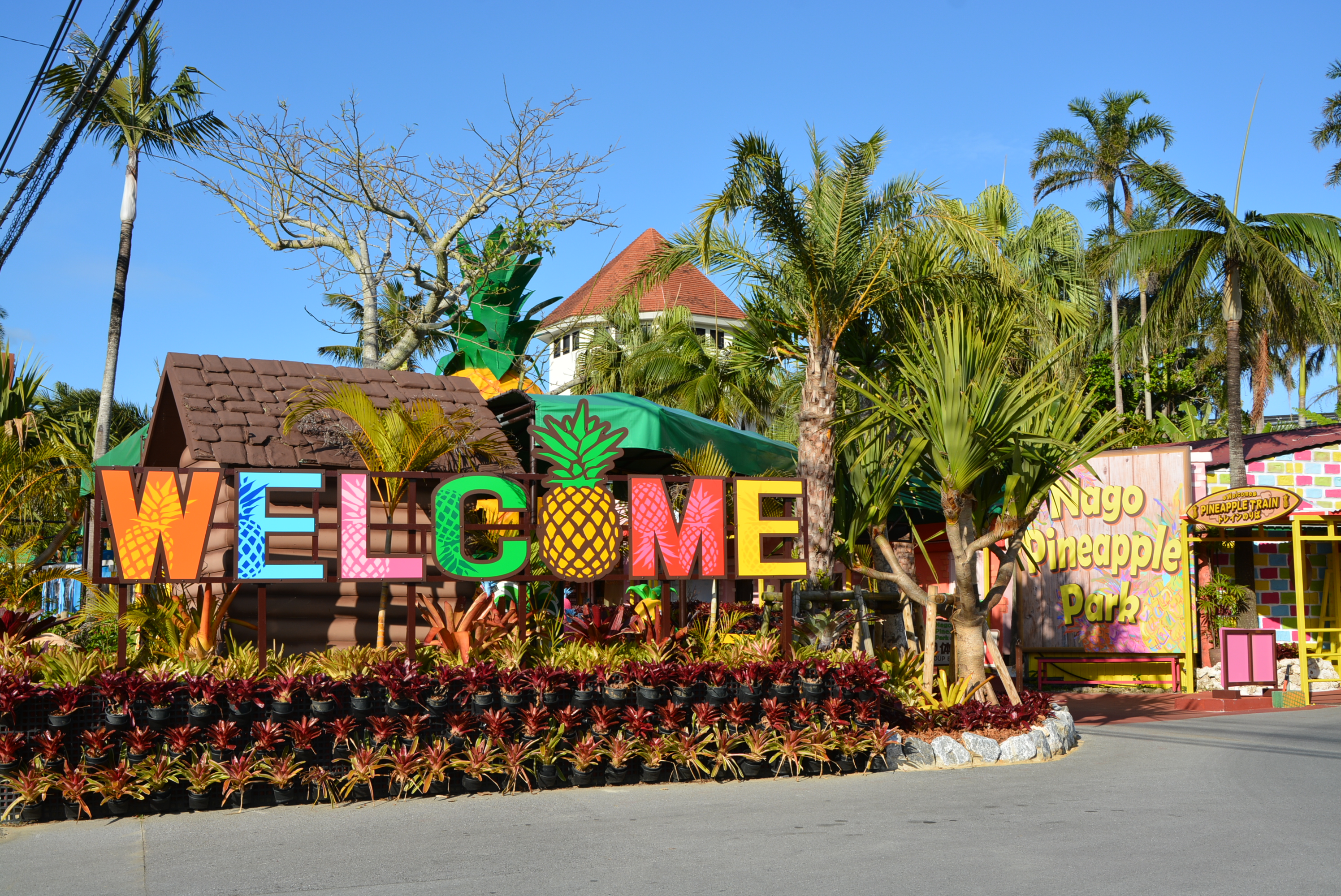 The Pineapple Paradise