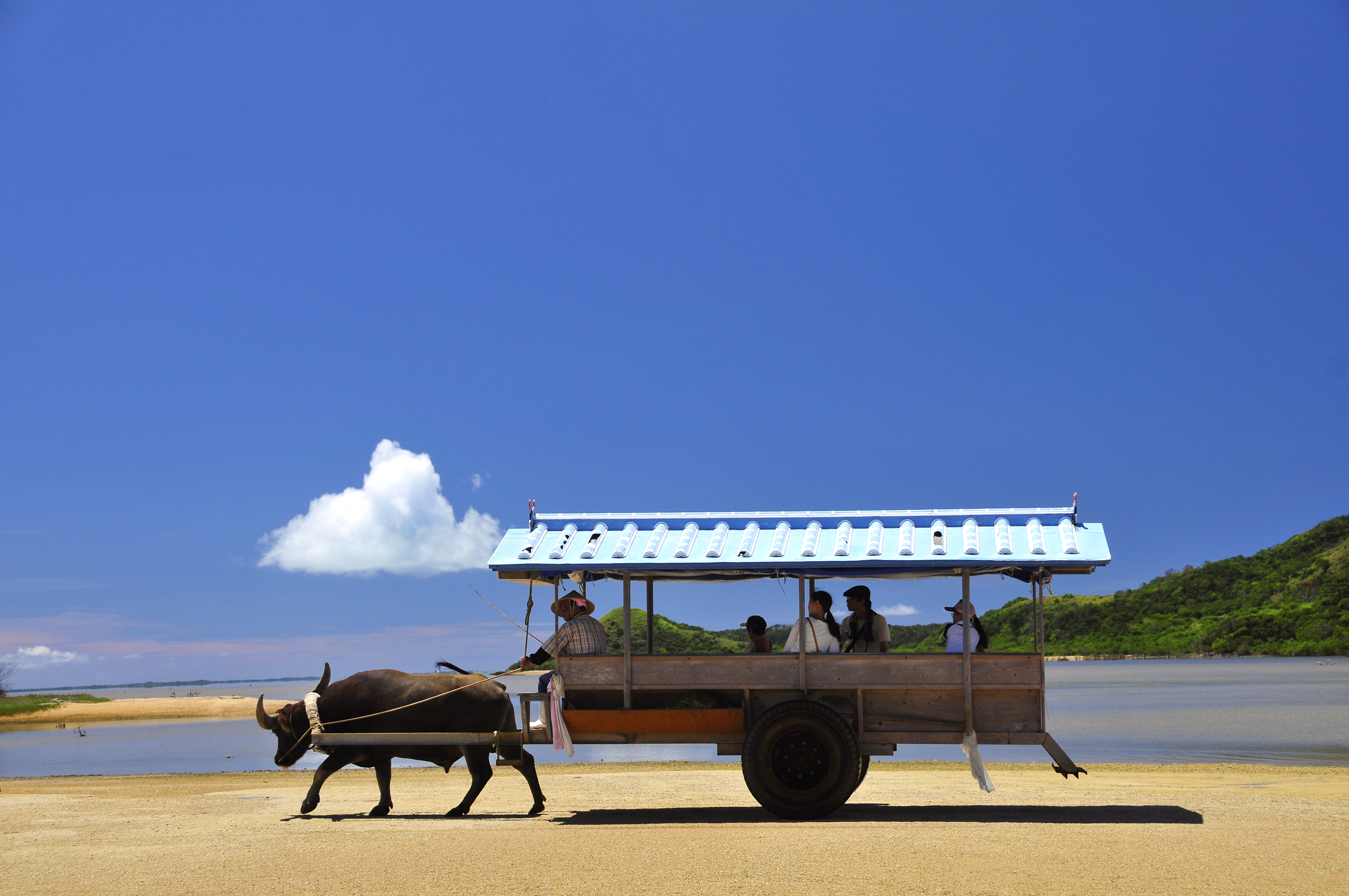 世界自然遺産 西表島と水牛車でいく由布島 のんびり満喫コース<石垣港発着>ランチ付き