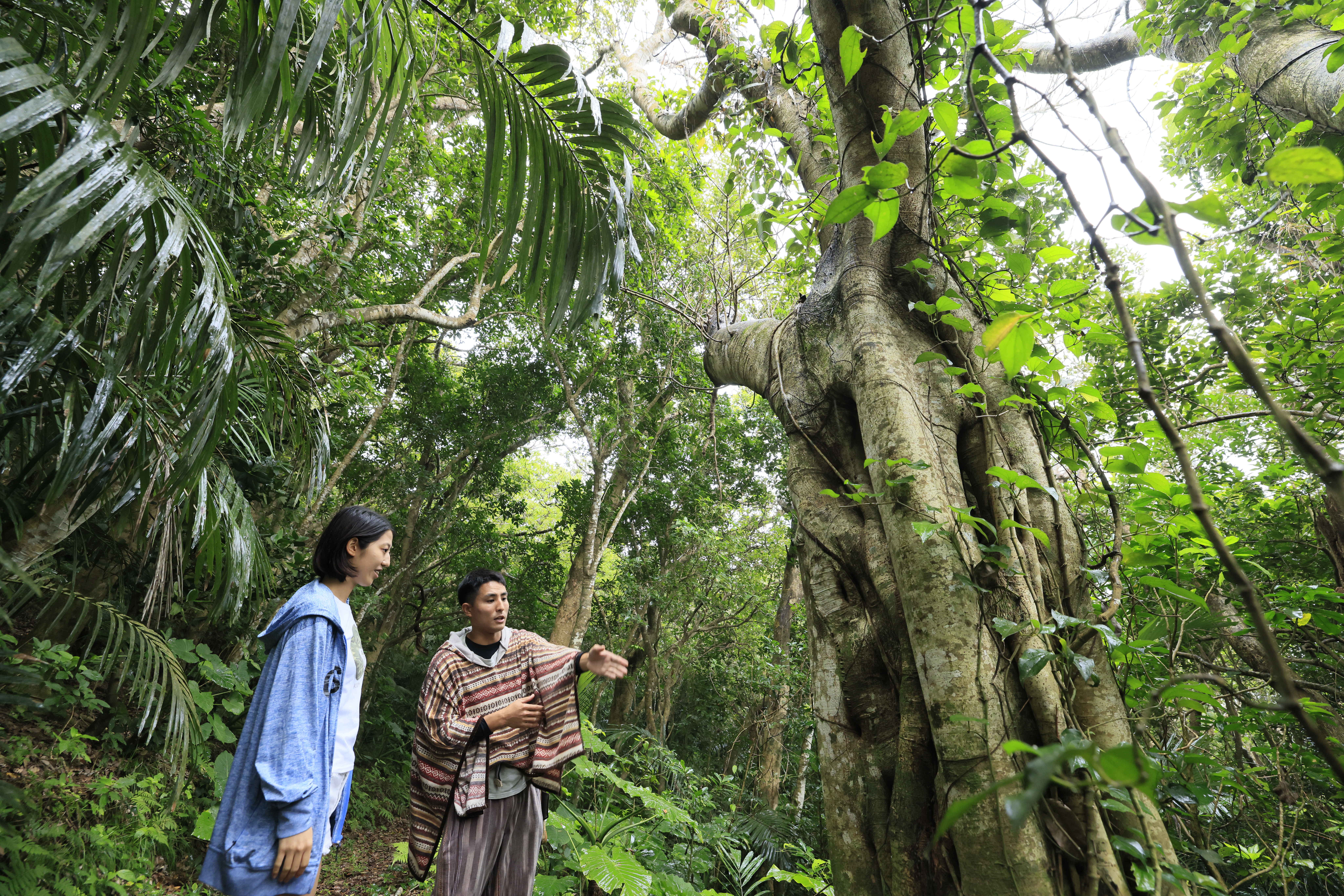 小浜島探検隊~雨の日ならではの体験も!~