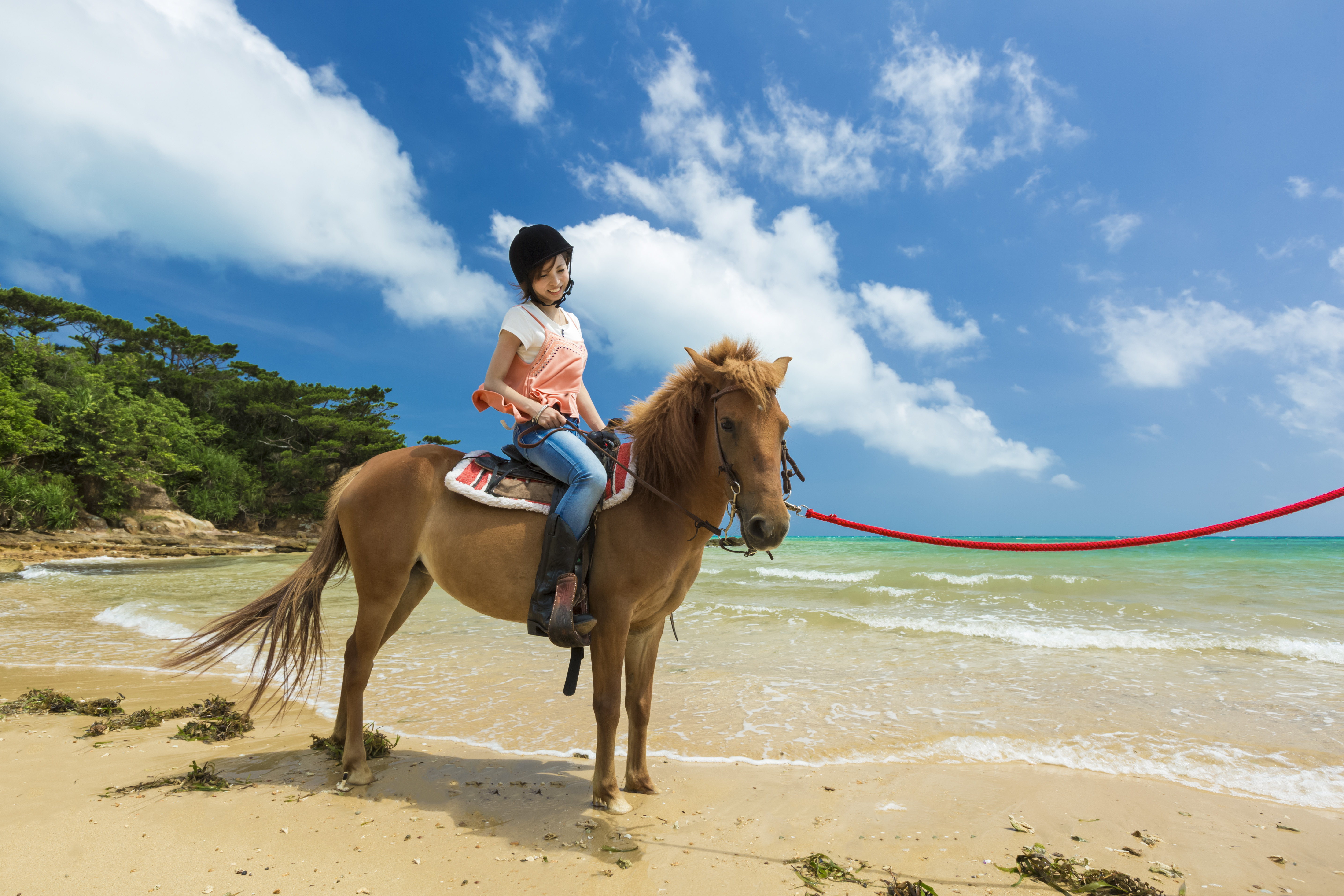 島風(しまかじ)ホーストレイル