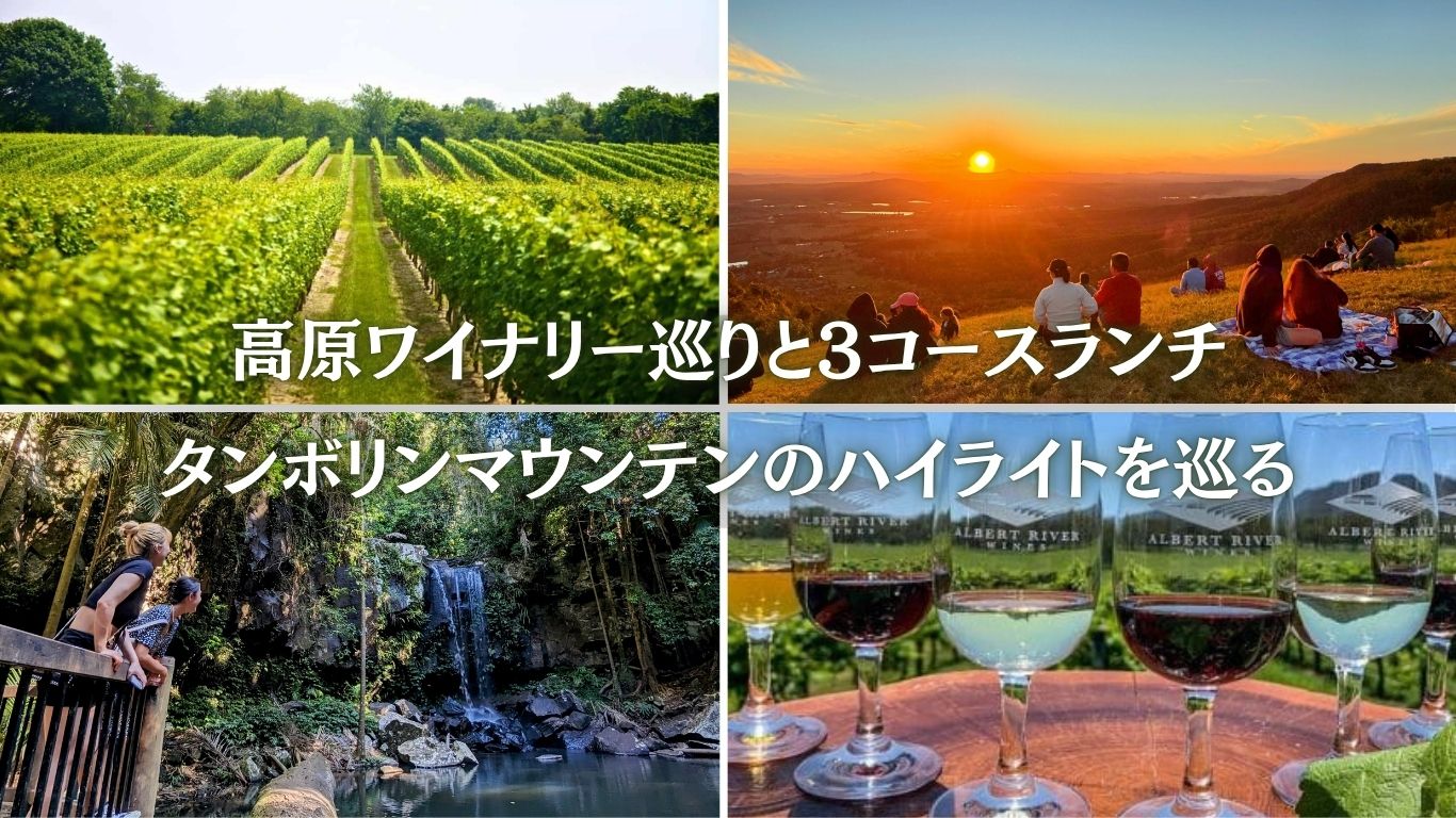 タンボリンマウンテン・プレミアムツアー「贅沢3コースランチとワイナリー巡り」