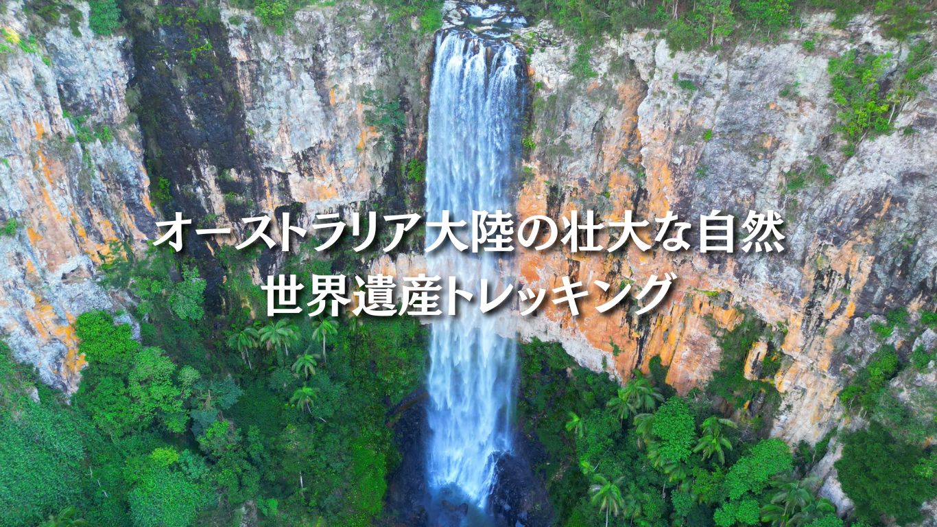 世界遺産の森を歩こう!朝のパーリングブルック滝と絶景トレッキング