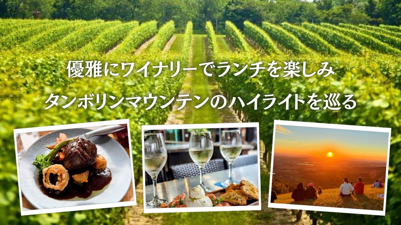 タンボリンマウンテン・プレミアムツアー「贅沢3コースランチとワイナリー巡り」