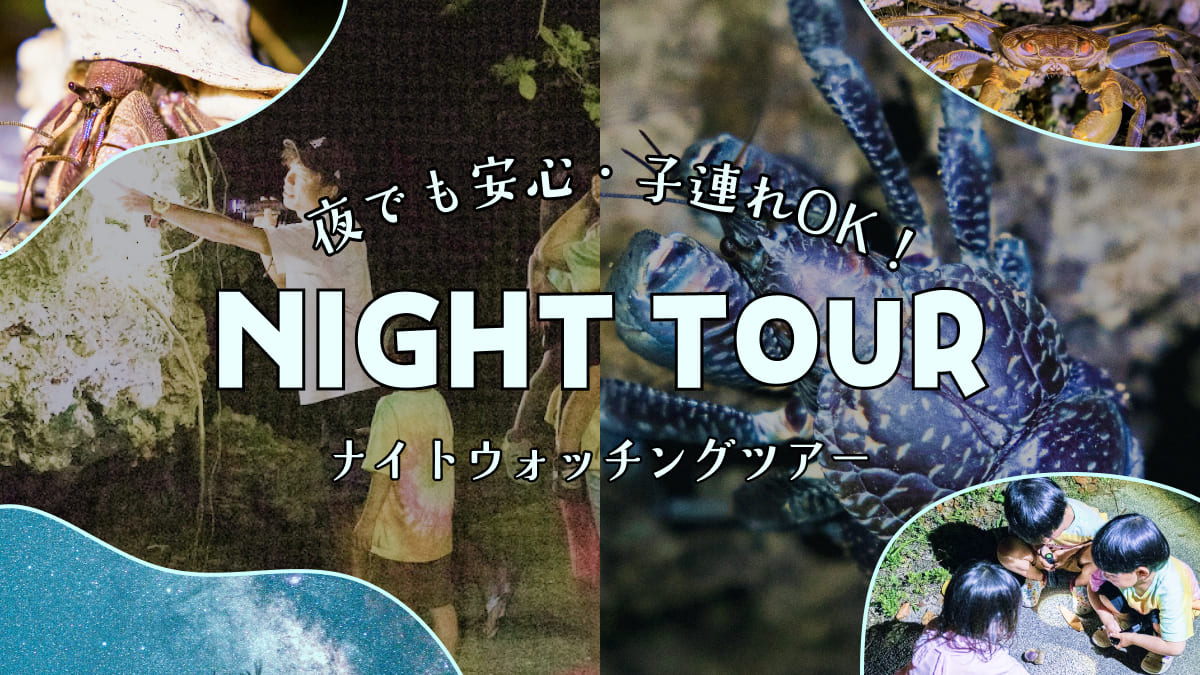 [ナイトツアー｜1ｈ]石垣島ナイトウォッチングツアー【現地集合プラン】