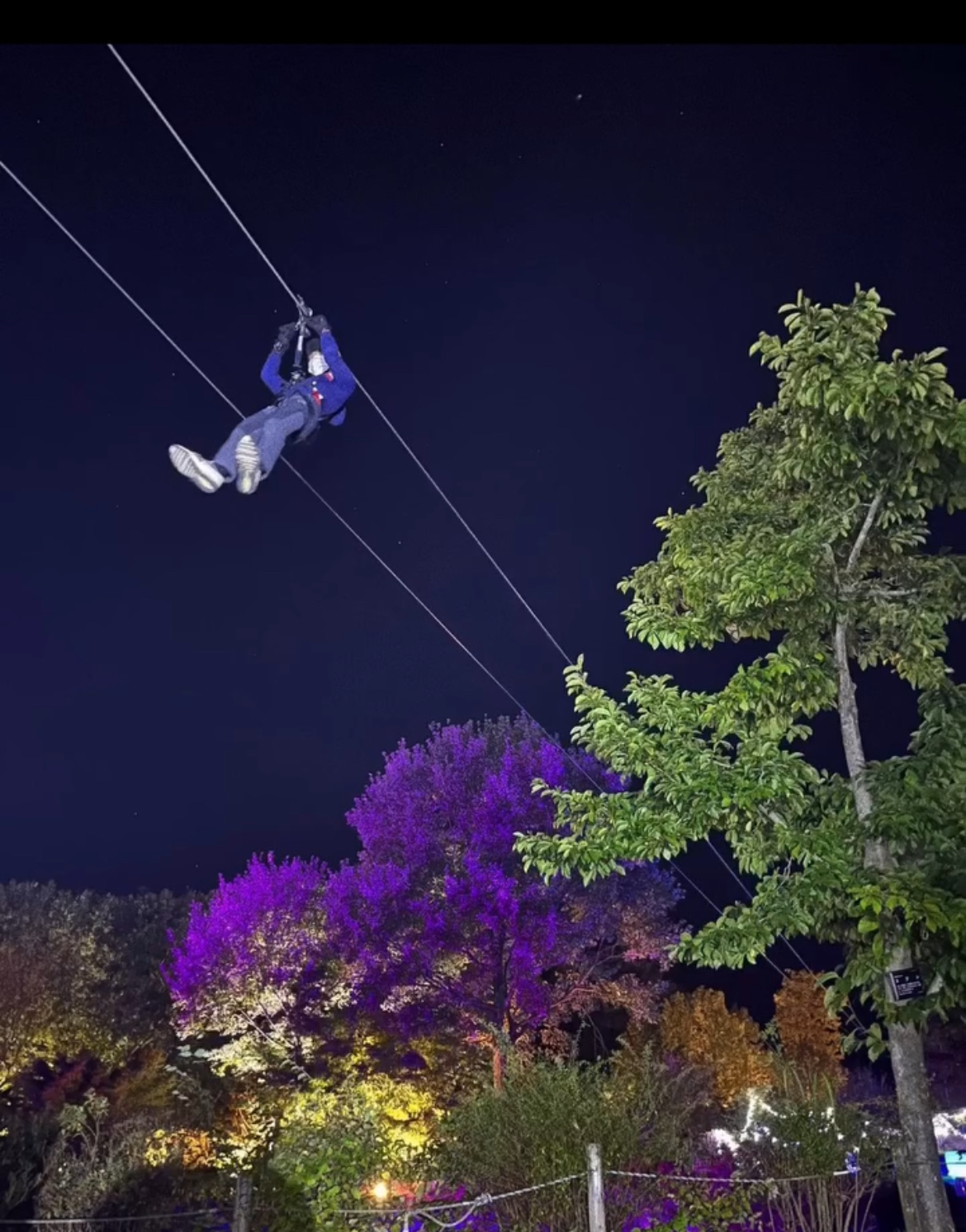 [333m in total length] Chukyo area's longest Mega Zip