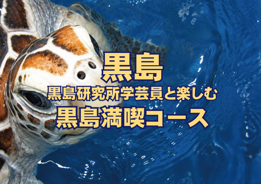 【☆夏の新コース☆】黒島研究所学芸員と楽しむ黒島コース