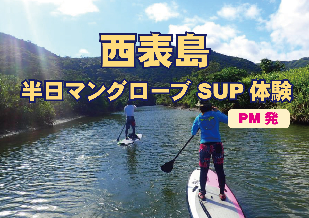 西表島半日マングローブSUP体験（石垣港14:00発） | 石垣発の離島