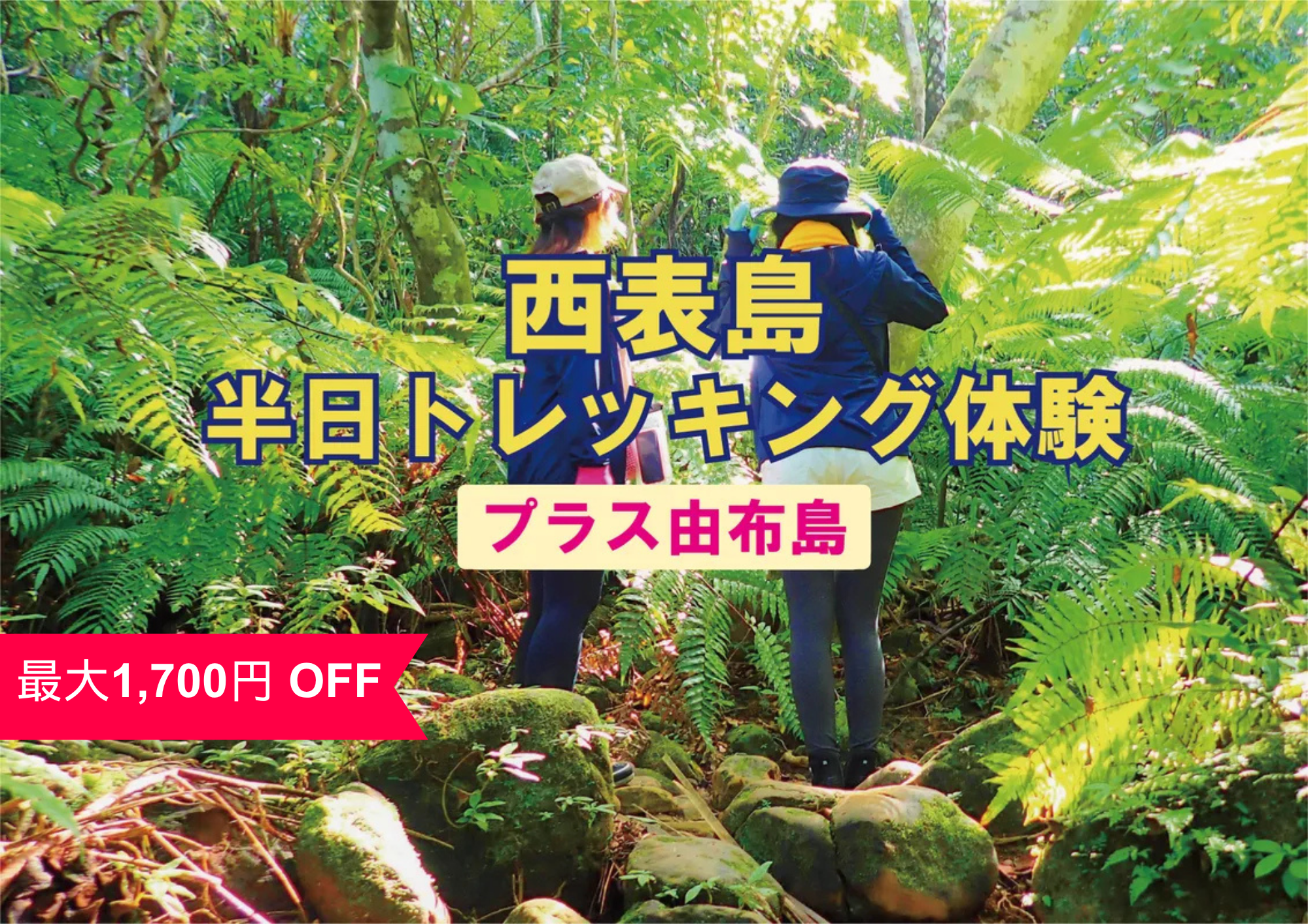 Eチケット（乗船券のみ） | 石垣発の離島ツアーと乗船券なら｜八重山