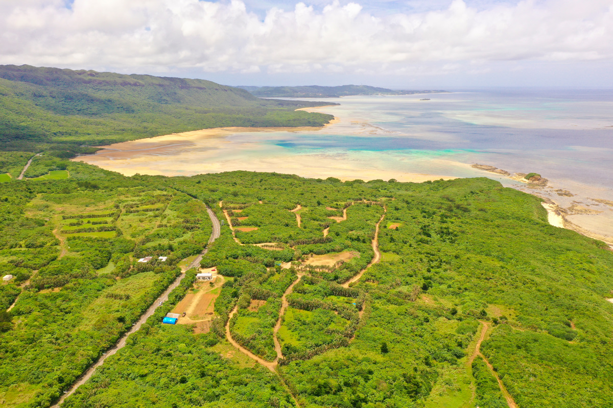 石垣島水牛のツノ Taketomi Island Water Buffalo Cart Tour (Ishigaki Port