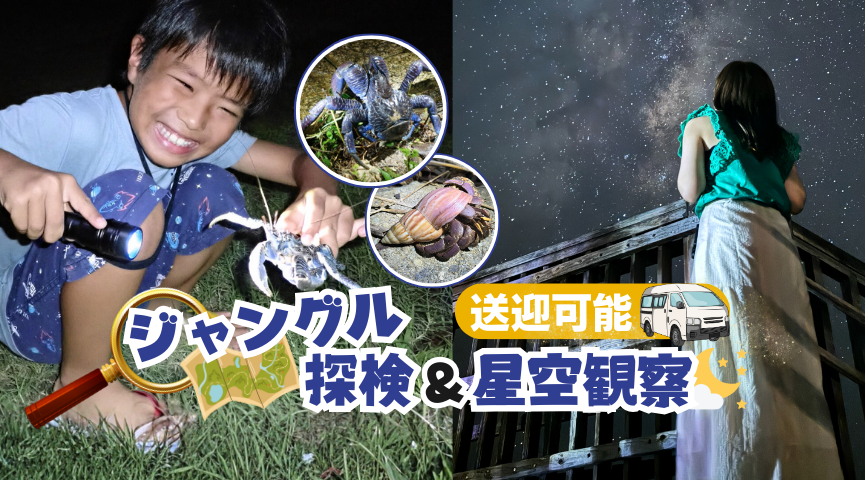 【宮古島ナイト】当日18時まで予約OK！ヤシガニ遭遇率100%継続中＆星空フォトツアー｜送迎可・雨の日こそおすすめ